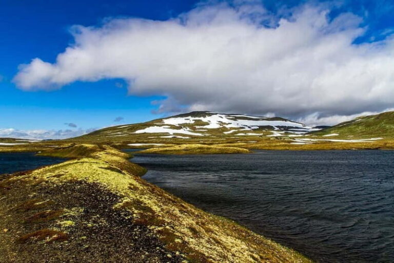 Eidfjord Shore Excursion: The Ultimate Scenic Adventure - Exploring the Highlights in Detail