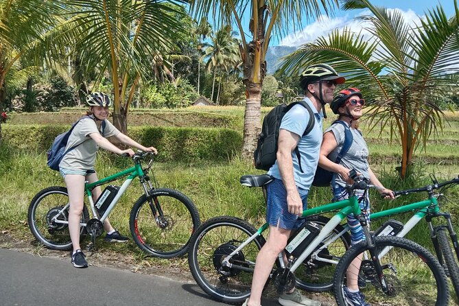 Electric bicycle tour in Jatiluwih UNESCO site - Key Points
