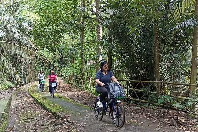 Electric bicycle tour in quaint South Ubud - Key Points