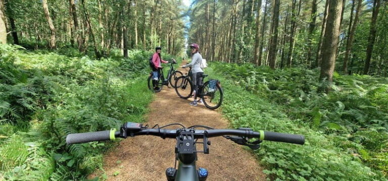 Electric Bike Experience on Slieve Gullion Mountain - Who Would Love This Tour?