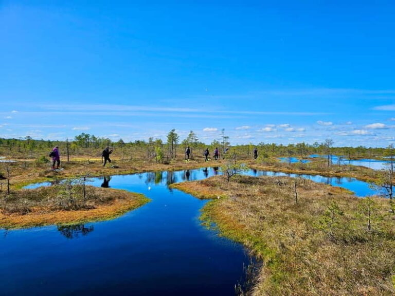 emeri Bogs Adventure: Explore Wetlands In Bog Shoes - The Core of the Tour: Walking on the Bog