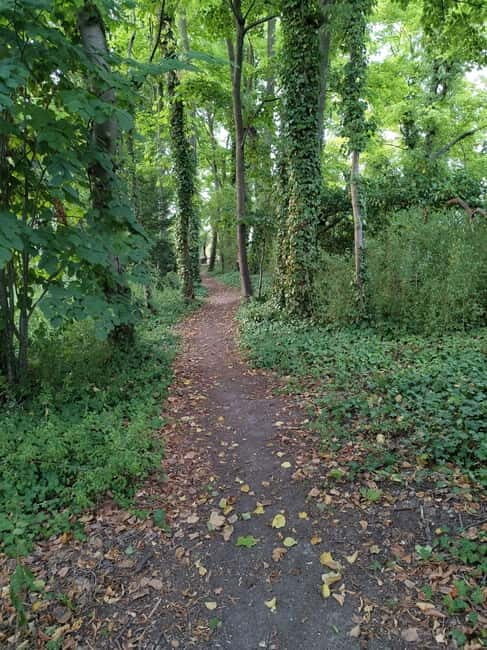 Enter the painting, touch the roots and go back in time ! - The Practicalities