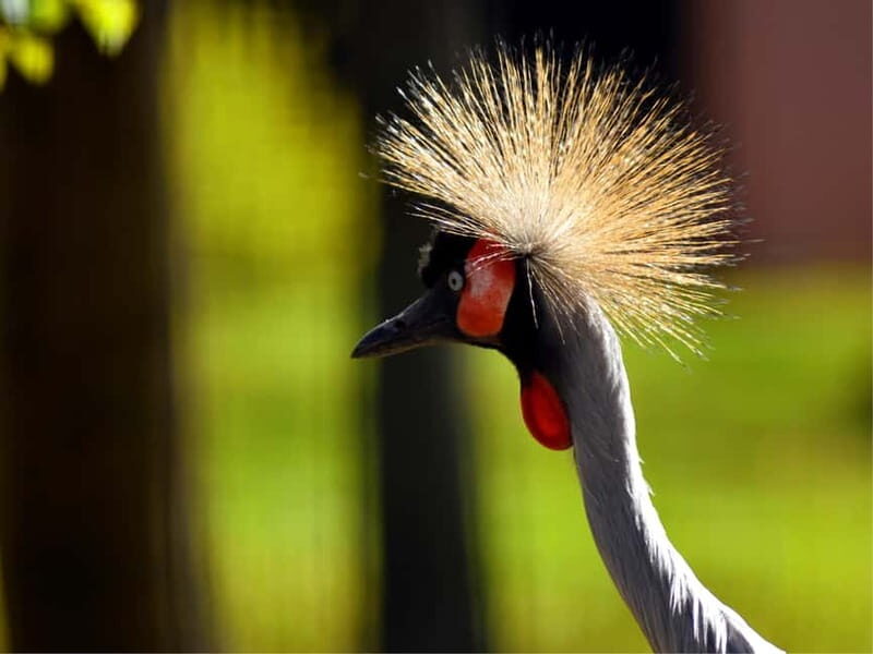 Erfurt: Erfurt Zoo Entry Ticket - Practical Details & Tips