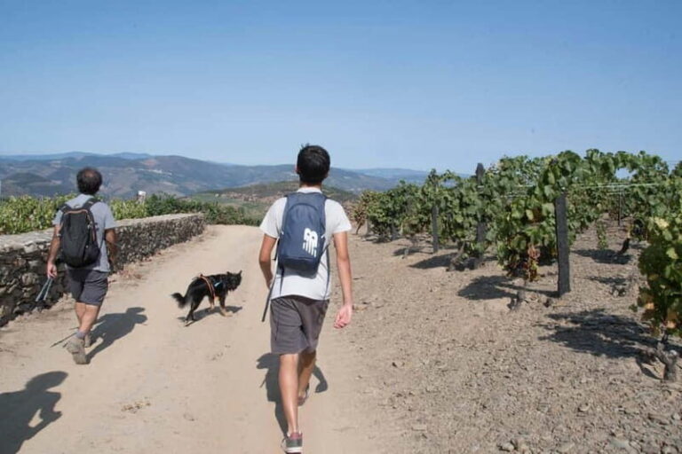 Ervedosa do Douro: Guided Walking Tour with Picnic Lunch - The Experience Provider & Additional Info