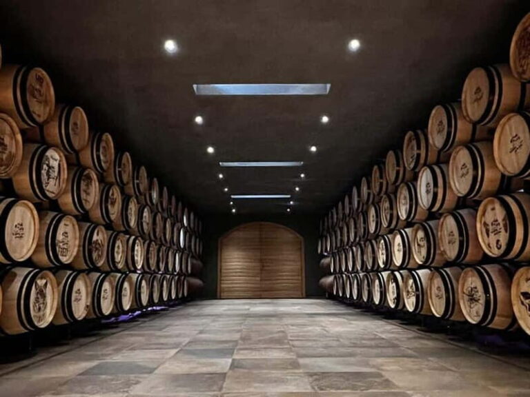 Escape from Geneva Wine Tasting Aperitif, Castle By E-bike - The Itinerary: A Walkthrough of the Experience