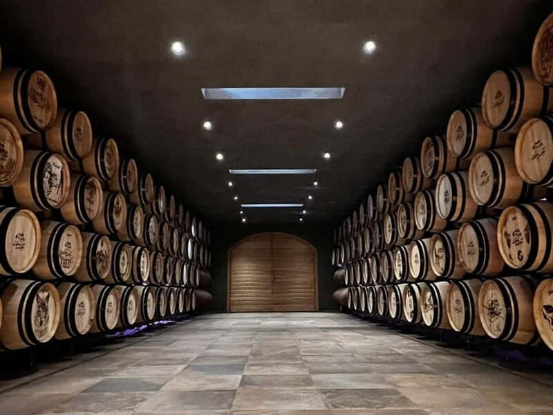 Escape from Geneva Wine Tasting Aperitif, Castle By E-bike - The Itinerary: A Walkthrough of the Experience