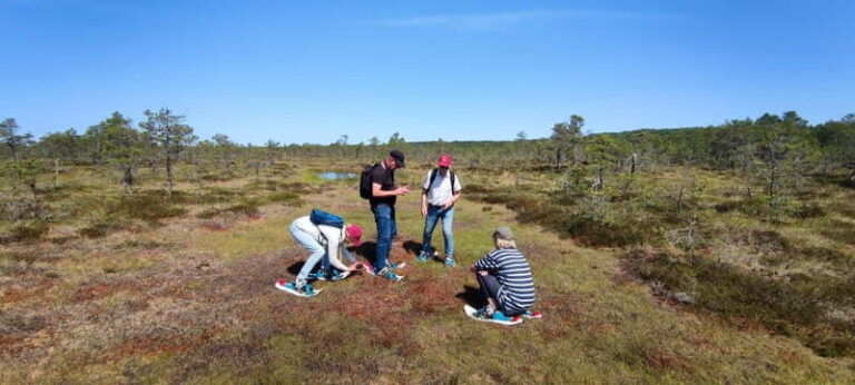 Escape from Tallinn Hike, Swim, Forage & Cuddle Sled Dogs - Exploring Kõrvemaa’s Bogs and Forests