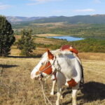 Escape Sofia: horse ride through Bulgaria´s beauty - Highlighting the Scenic Beauty of Bulgaria’s Countryside