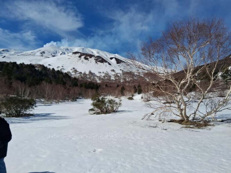 Etna and Wine: an experience among craters, volcanic landscapes, and Sicilian flavors. - Why This Tour Is a Great Choice