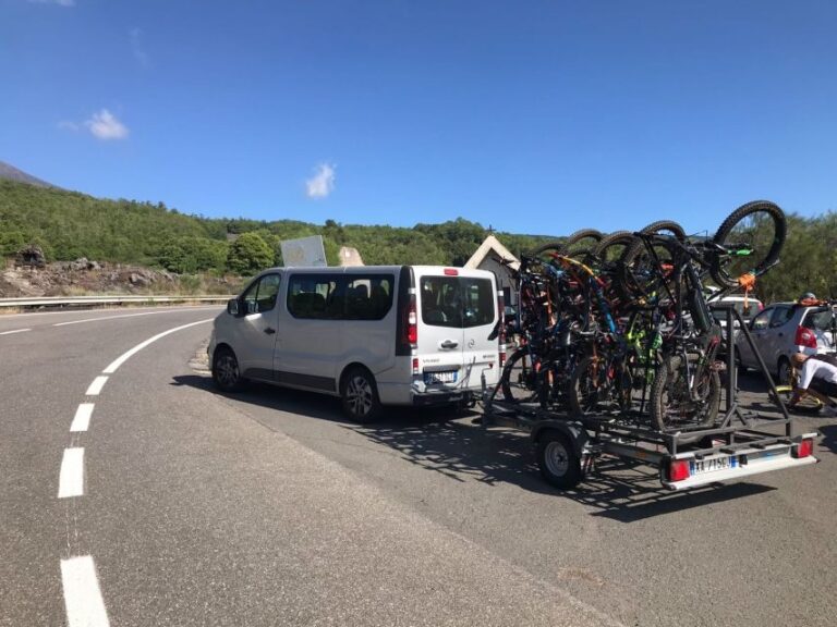 Etna: Half-Day Mt Etna Mountain Bike Tour - An In-Depth Look at the Mt Etna Bike Tour