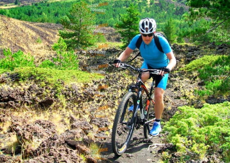 Etna: Mountain Bike or E-Bike Tour on Mount Etna - Why This Ride Is a Great Fit