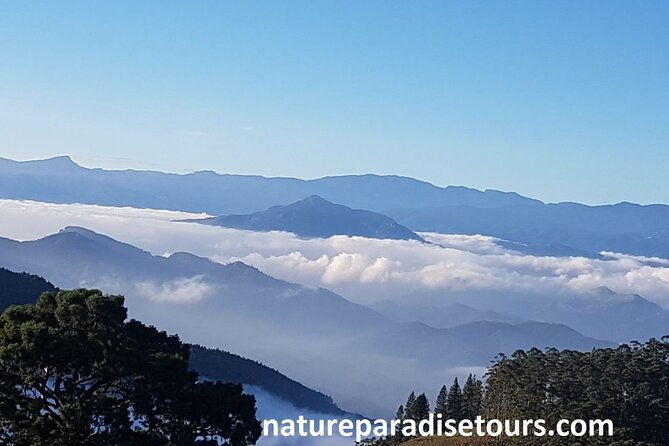 Exclusive knuckles Camping Tour from kandy - Introducing the Exclusive Knuckles Camping Tour from Kandy