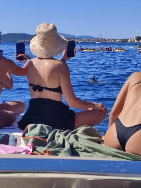 Exclusive motor boat dolphins watch - Who Is This Tour Best For?