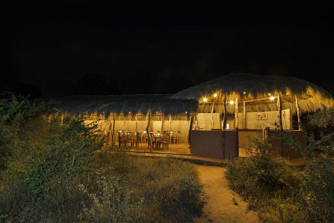 Exclusive : Overnight Leopard Safari with Luxury Glamping - Discover the Magic of an Overnight Leopard Safari with Luxury Glamping in Yala
