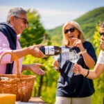 Exclusive Tour through the Riva Gemin - The Journey Begins: From Winery to Vineyards