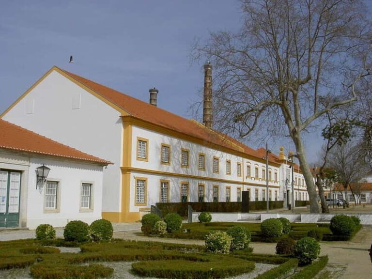 Excursion à Aveiro  Venise du Portugal+Balade en Moliceiro. - A Detailed Look at the Itinerary