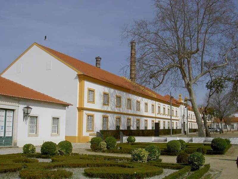 Excursion à Aveiro  Venise du Portugal+Balade en Moliceiro. - A Detailed Look at the Itinerary
