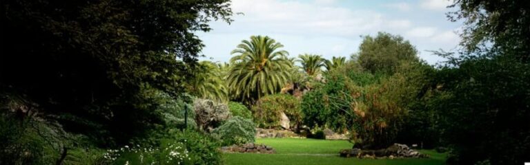 Excursion to Las Palmas: History and Culture - Final Thoughts: Is This Tour Right for You?