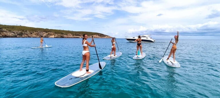 Experience Crystal paddle surf Tours + snorkel - Who Will Love This Tour?
