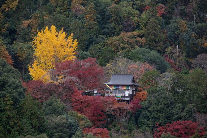 Explore Arashiyama Bamboo Forest with Authentic Zen Experience - Key Points
