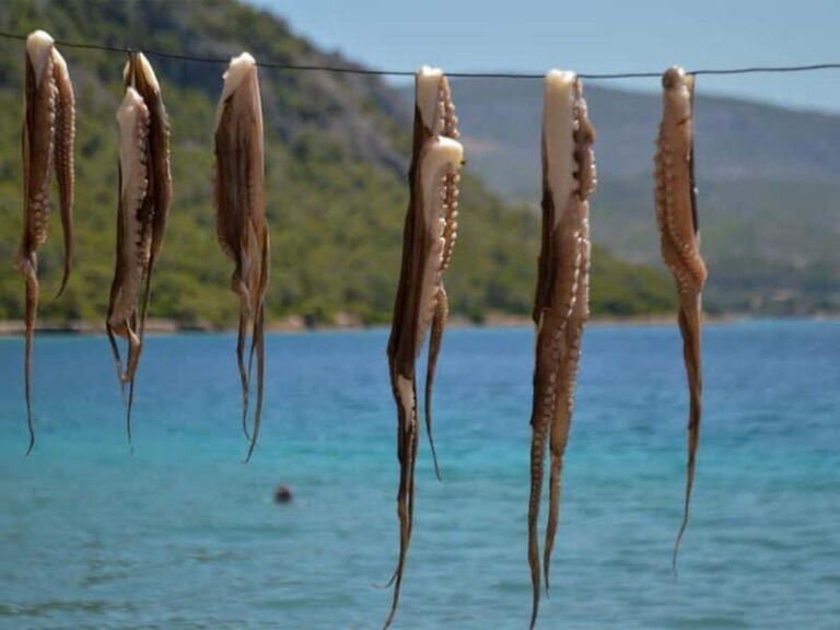 Explore Loutraki & Lake Vouliagmeni: Nature and Relaxation - A Complete Review: Exploring Loutraki & Lake Vouliagmeni