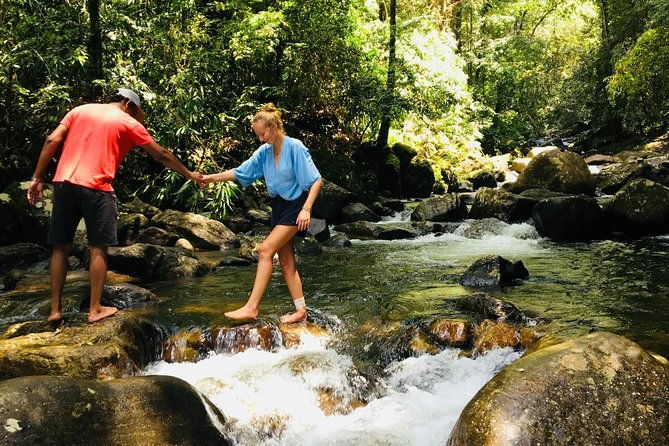 Explore Singharaja Forest Reserve (mirissa/weligama & Galle) - Exploring the Sinharaja Forest Reserve: An In-Depth Review of the Private Tour Experience