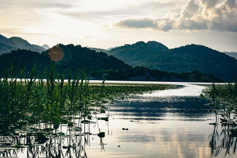 Explore Skadar Lake: Exclusive Guided Boat Falcon Tour! - Who This Tour is Best For