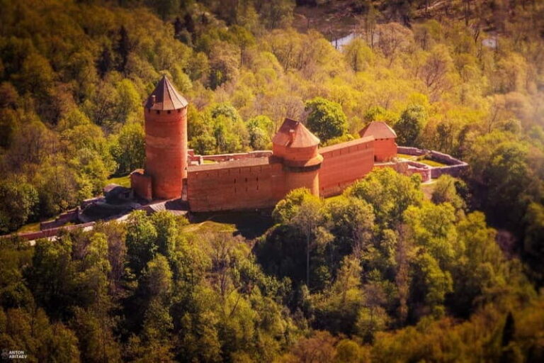 Explore the Baltics: Riga- Tallinn / Tallinn - Riga Daytrip - Transportation and Comfort