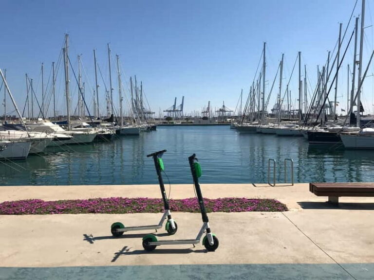 Explore Valencias Coast: Boat trip to Valencian Venice - Who Will Love This Tour?