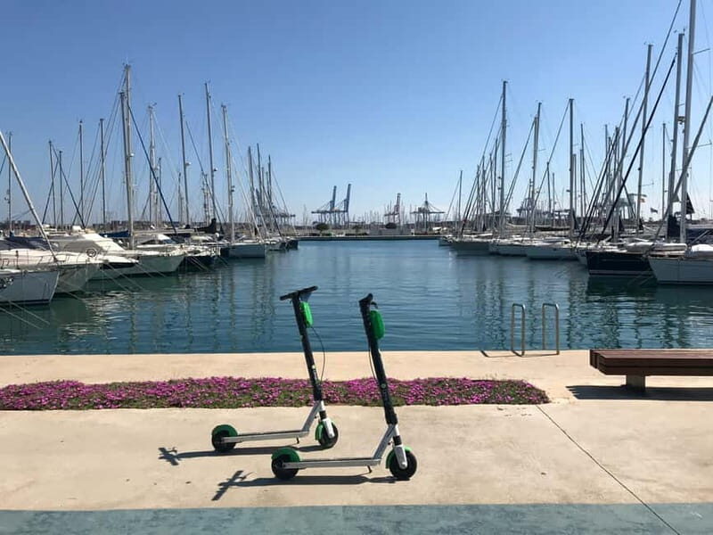 Explore Valencias Coast: Boat trip to Valencian Venice - Who Will Love This Tour?