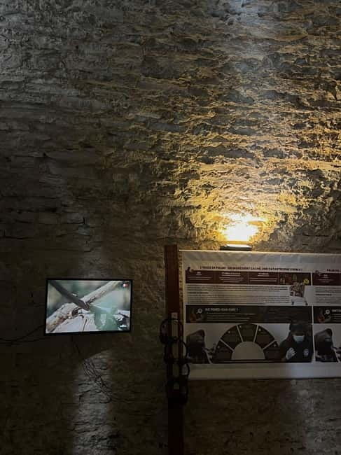 Exposition "Les forêts en souffrance" & Dégustation de vins - Key Points