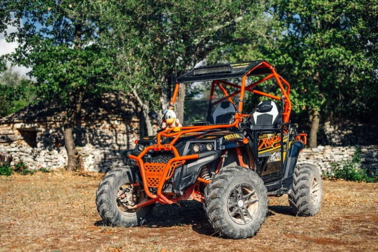 Faana: Guided Buggy Tour in the Heart of Istria - What to Expect During the Tour