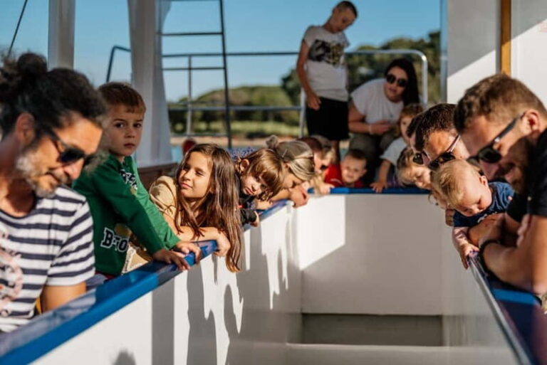 FAANA: NATIONAL PARK BRIJUNI GLASS BOAT PRIVATE TOUR - Detailed Breakdown of the Itinerary