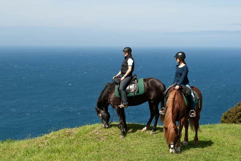 Faial Island: Horseback Riding on Lusitano Trail - What Makes This Tour Stand Out?