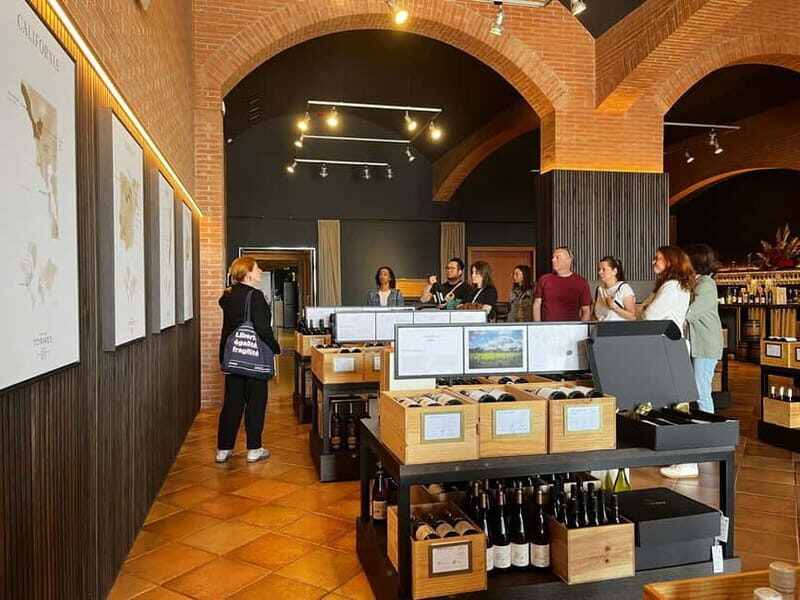 Familia Torres Winery: Gastronomic Tapas & Wine Experience - In-Depth Look at the Itinerary