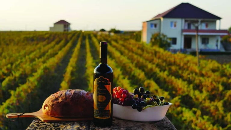 Farm-to-Table Escape: Discover Mrizi i Zanave - The Detailed Itinerary and What You Can Expect