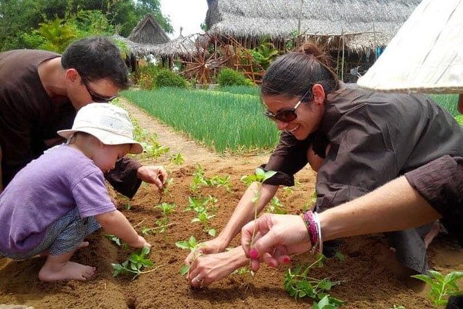Farming with the Local Famers - What to Expect from the Tour