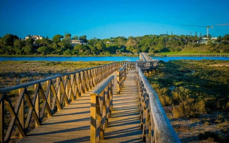 Faro: Private City 2 Hour Sightseeing Tour with Local - The Detailed Itinerary