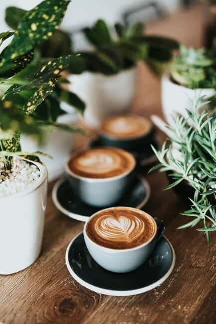 Fika Tour to hideaway cafés - The Route and What to Expect