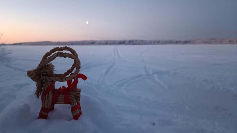 Fishing Rovaniemi area - Why This Tour Offers Value