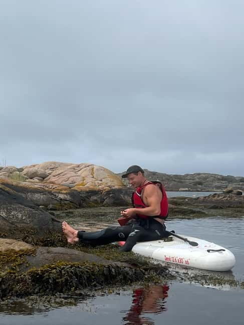 Fjällbacka: Seaweed Picking and SUP Paddling Tour - The Itinerary in Detail