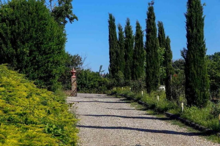 Florence by E-Bike: Hidden Hills & Local Thrills - Who Will Love This Tour?