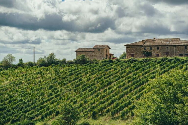 Florence: Chianti Secrets Wineries Tour With Lunch - The Itinerary Breakdown: What You’ll Experience