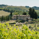 Florence: Chianti Wineries Tour with Wine Tasting - What Sets This Tour Apart?