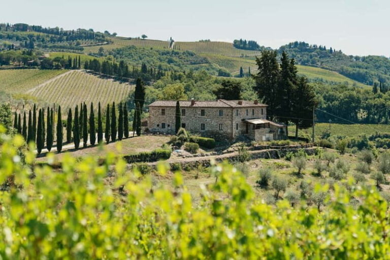 Florence: Chianti Wineries Tour with Wine Tasting - What Sets This Tour Apart?