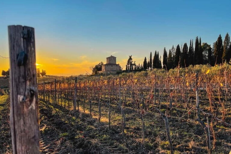Florence: Hiking Tuscany & Chianti wine 3 wineries and lunch - Exploring Tuscany on Foot and in Style
