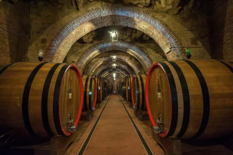 Florence: Horseback Riding, Wine Tasting & Cooking Class - Practical Details and Considerations