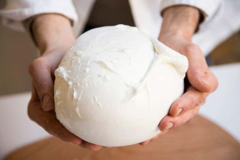 Florence: Mozzarella Making Workshop with Wine Tasting - The Value of the Experience