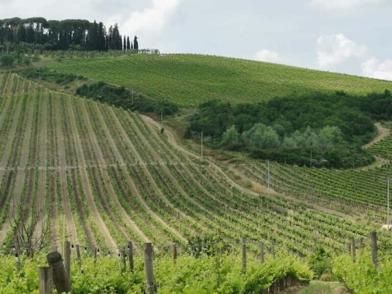 Florence: Panoramic Tour to Fiesole and Michelangelo Square - Transportation and Practical Details