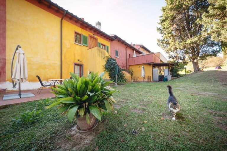 Florence: Wine Tasting at a Vineyard With a Local Winemaker - The Sum Up
